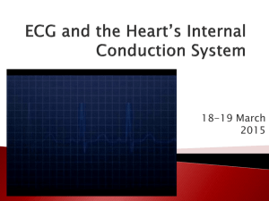 ECG and the Heart's Internal Conduction System