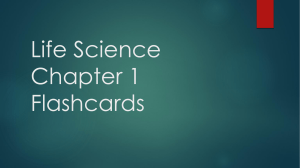 Life Science Chapter 1 Flashcards
