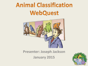 Animal Classification WebQuest