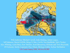Arctic Topographic Map