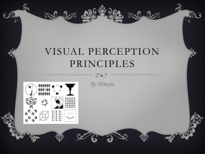 Mikayla's Visual perception principles PowerPoint