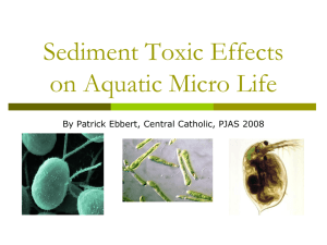Ebbert Sediment_Toxic_Effects_on_Aquatic_Microlife