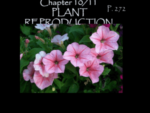 Chapter 11/12 PLANT REPRODUCTION