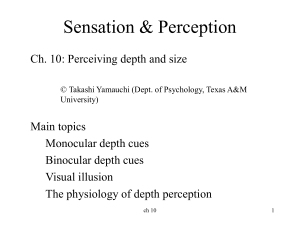 Ch 10 Perceiving depth and size