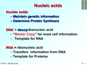 The nucleic acids - faculty at Chemeketa