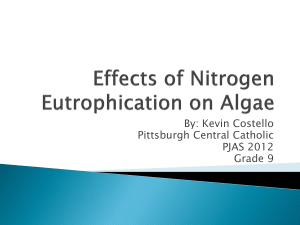 Costello Effects of Nitrogen Eutrophication on Algae