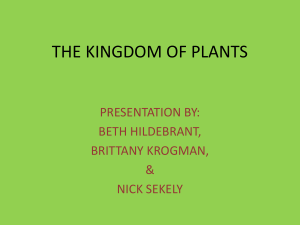 the kingdom of plants - Local.brookings.k12.sd.us