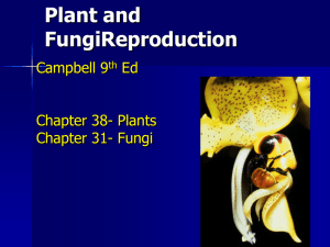 AP Plant and Fungi Reproduction