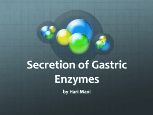 Secretion of Gastric Enzymes