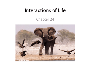 Interactions of Life - Ms. Banjavcic's Science