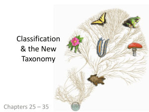 Classification Lecture