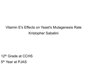 vit E effects on yest mutagenesis Sabatini