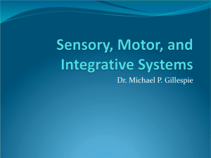 Sensory, Motor, and Integrative Systems