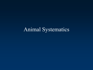 Animal Systematics