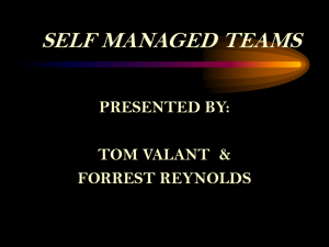 Self Directed Teams