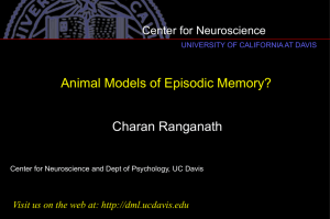 Charan Ranganath: Animal Models of Episodic Memory?