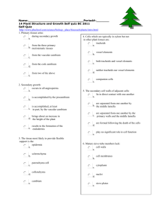 14 Biocoach Plant Structure and Growth Self quiz Neil 2012