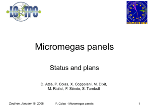 Micromegas panels - Status and plans