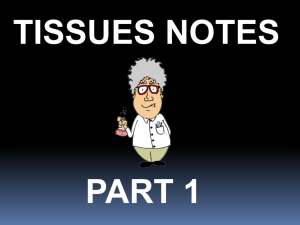More Tissues Notes for Your Resources