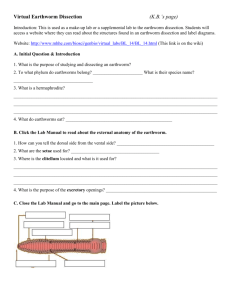 4_Virtual Worm Questions