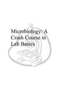 Microbiology: A Crash Course in Lab Basics