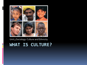 what is culture? - Sociology at Girton