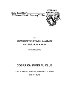 the cobra kai kung fu experience