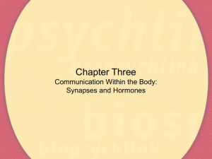 Communication Within the Body: Synapses and Hormones