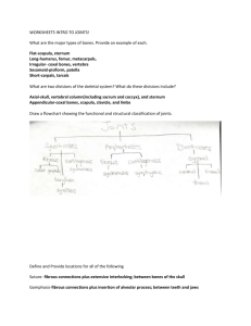 WORKSHEET5 INTRO TO JOINTS! What are the major types of