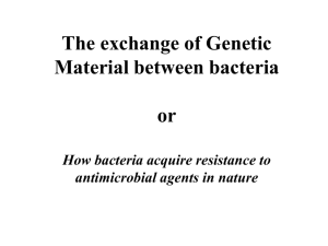 The exchange of Genetic Material between bacteria or How bacteria
