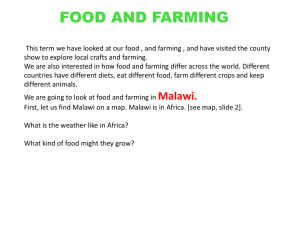 YEAR-4-compare-malawi-food-farming
