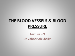 THE BLOOD VESSELS & BLOOD PRESSURE