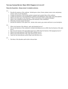 Nervous System Review Sheet 2014 Chapters 6.3, 6.4, 6.5
