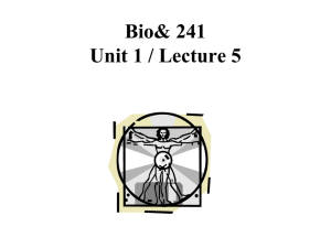 Bio 241 Unit 1 Lecture 5