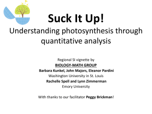 Understanding photosynthesis through quantitative analysis