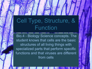 Cell Type, Structure, & Function - Willimon-PHS