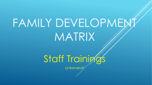 Family Development Matrix
