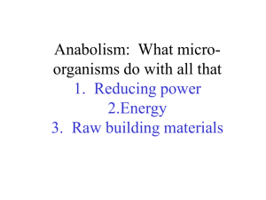 Anabolism: What micro-organisms do with all that 1. Reducing