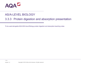 Protein digestion and absorption