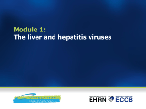 Module1 - The liver and hepatitis viruses