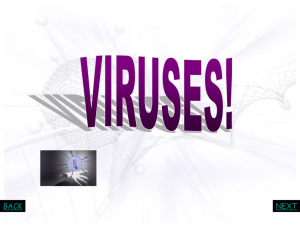 What are Viruses PPT