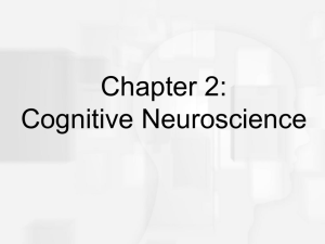 Cognitive Psychology, Sixth Edition, Robert J. Sternberg Chapter 2