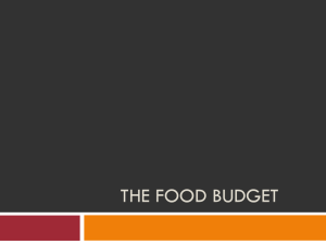 The Food Budget