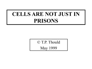 A CELL