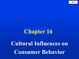 Chapter 16: Cultural Influences on Consumer Behavior