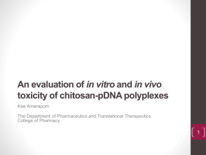 An evaluation of in vitro and in vivo toxicity of chitosan/pDNA