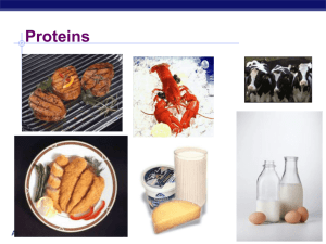 AP Biology proteins ppt