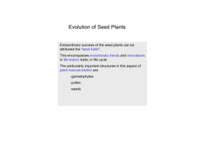origin and diversification of seed plants