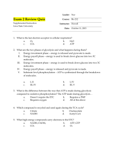 Exam 2 Review Quiz - Iowa State University