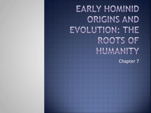 Early hominid origins and evolution: the roots of humanity